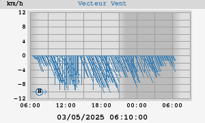 Wind Vector