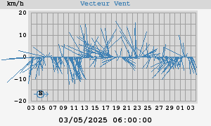 Wind Vector