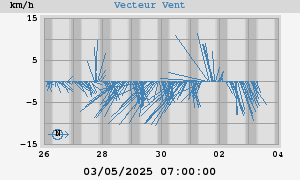 Wind Vector