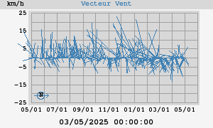 Wind Vector
